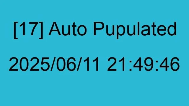 [17] Auto 2025/06/11 21:49:46