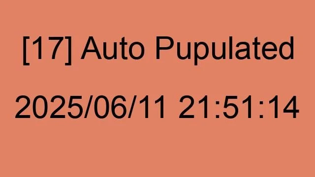 [17] Auto 2025/06/11 21:51:14