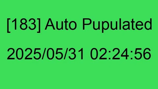 [183] Auto 2025/05/31 02:24:56