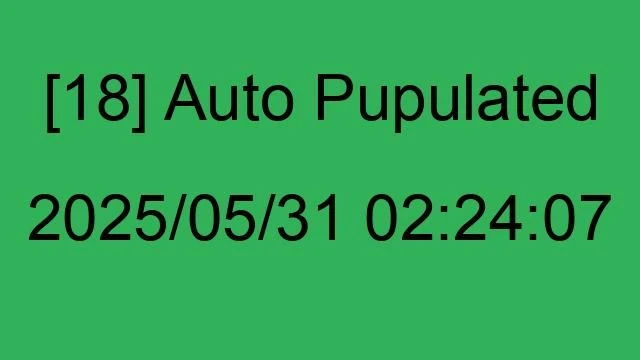 [18] Auto 2025/05/31 02:24:07