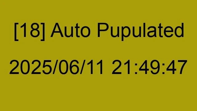 [18] Auto 2025/06/11 21:49:47