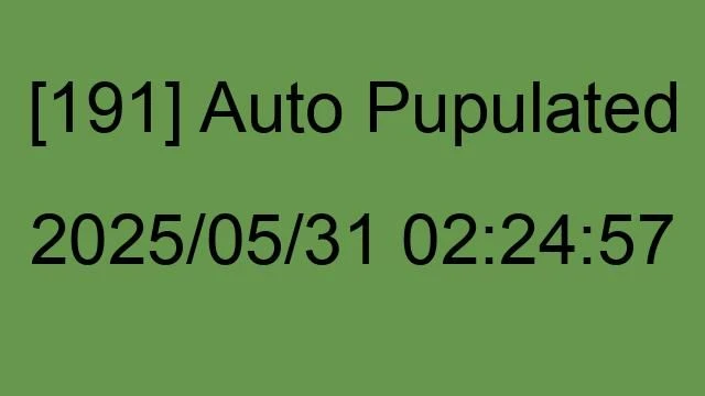 [191] Auto 2025/05/31 02:24:57