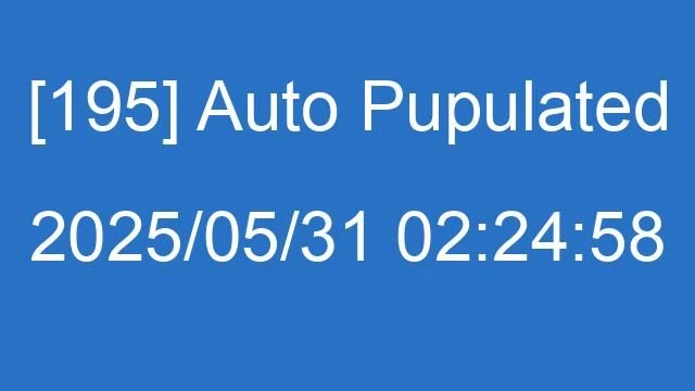 [195] Auto 2025/05/31 02:24:58