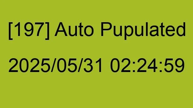 [197] Auto 2025/05/31 02:24:59