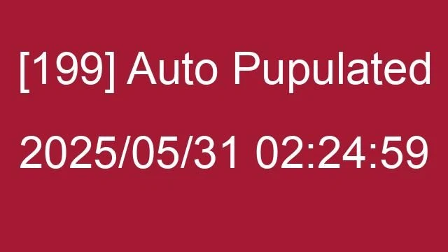[199] Auto 2025/05/31 02:24:59