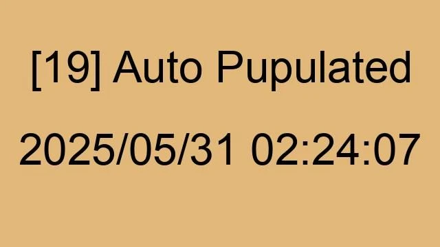 [19] Auto 2025/05/31 02:24:07