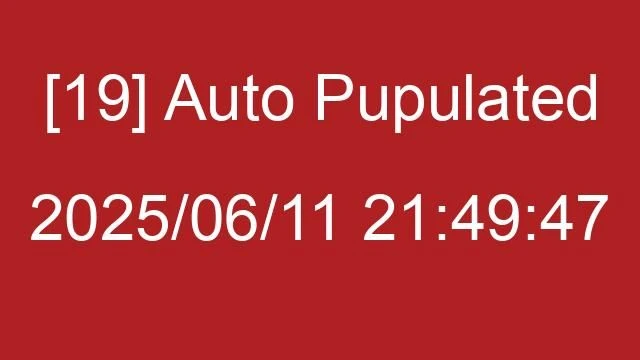 [19] Auto 2025/06/11 21:49:47