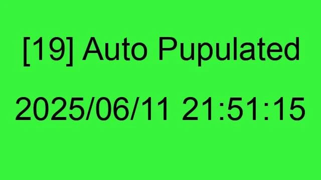 [19] Auto 2025/06/11 21:51:15