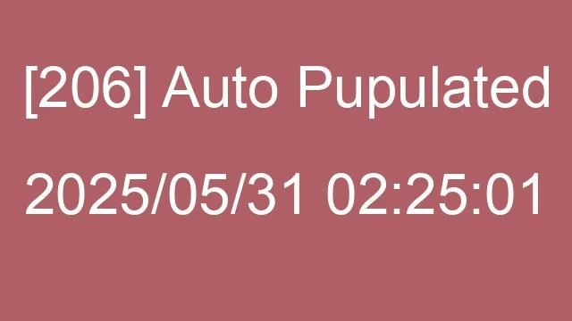 [206] Auto 2025/05/31 02:25:01