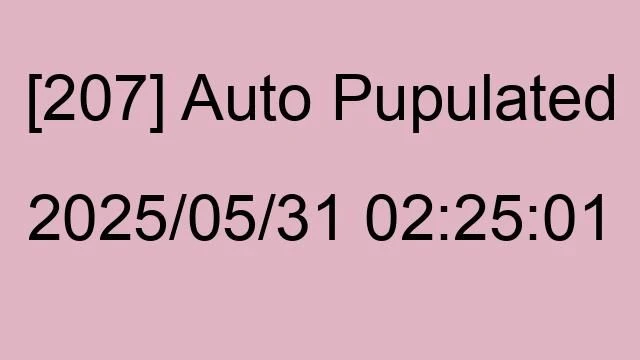 [207] Auto 2025/05/31 02:25:01