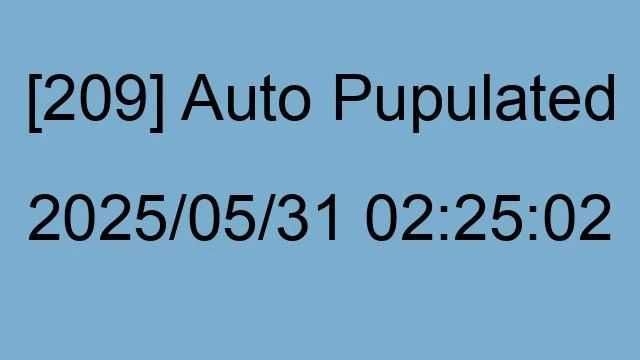 [209] Auto 2025/05/31 02:25:02