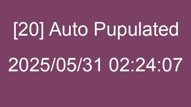 [20] Auto 2025/05/31 02:24:07