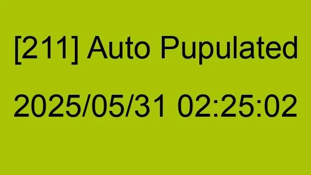 [211] Auto 2025/05/31 02:25:02