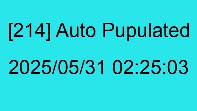 [214] Auto 2025/05/31 02:25:03