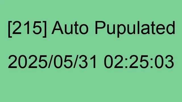 [215] Auto 2025/05/31 02:25:03