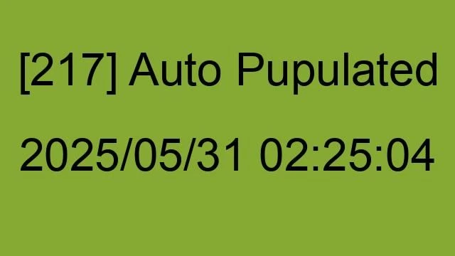 [217] Auto 2025/05/31 02:25:04