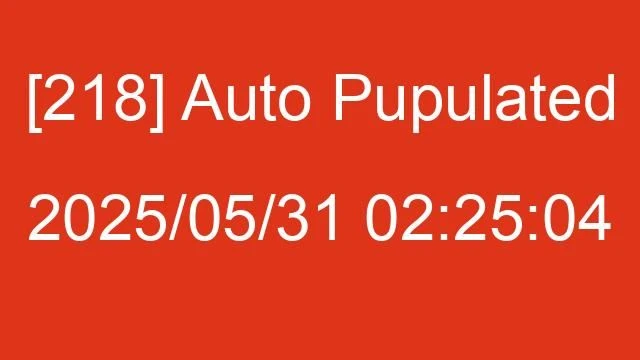 [218] Auto 2025/05/31 02:25:04