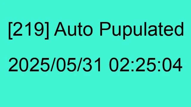 [219] Auto 2025/05/31 02:25:04