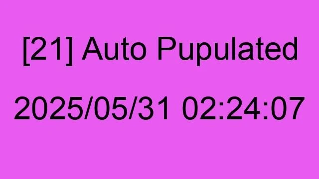[21] Auto 2025/05/31 02:24:07