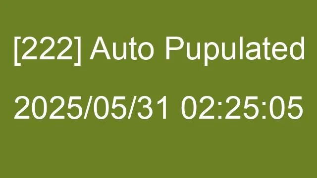 [222] Auto 2025/05/31 02:25:05