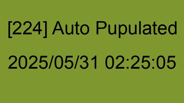 [224] Auto 2025/05/31 02:25:05