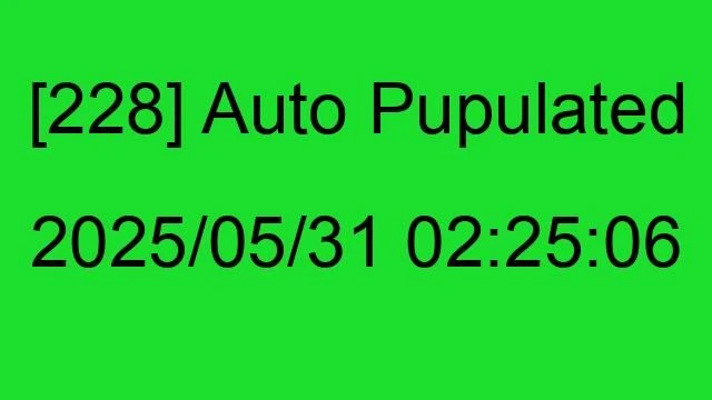 [228] Auto 2025/05/31 02:25:06