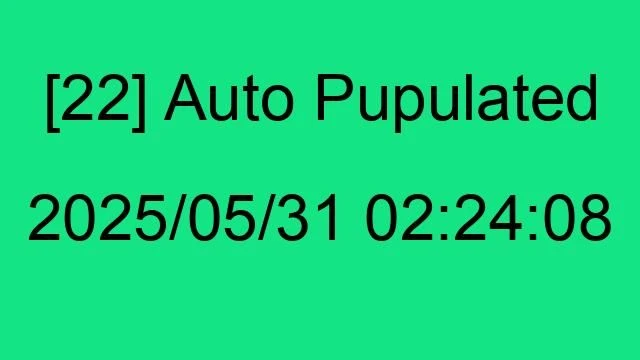 [22] Auto 2025/05/31 02:24:08