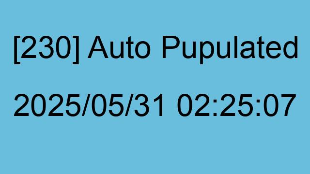 [230] Auto 2025/05/31 02:25:07
