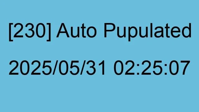 [230] Auto 2025/05/31 02:25:07