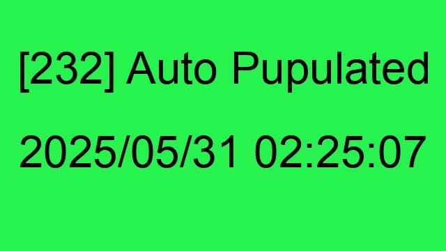 [232] Auto 2025/05/31 02:25:07