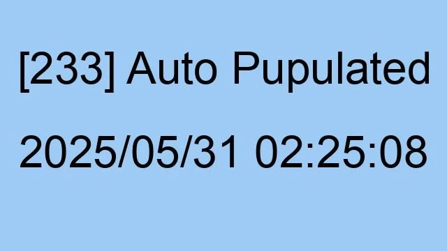 [233] Auto 2025/05/31 02:25:08