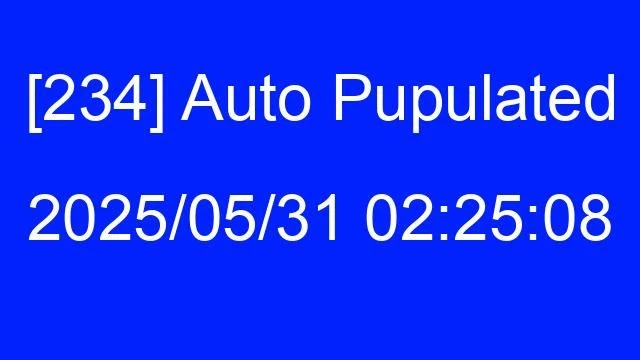 [234] Auto 2025/05/31 02:25:08