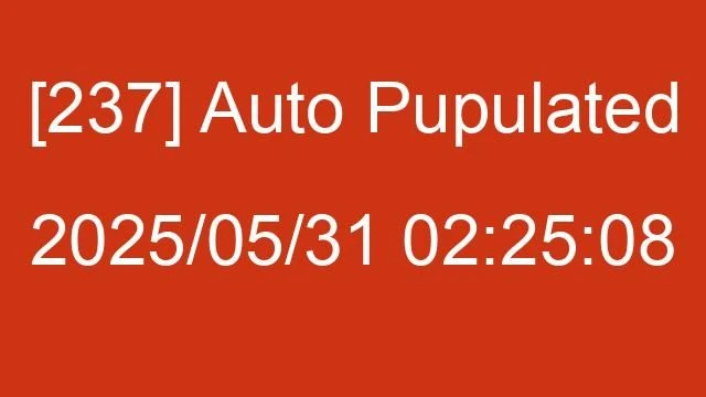 [237] Auto 2025/05/31 02:25:08