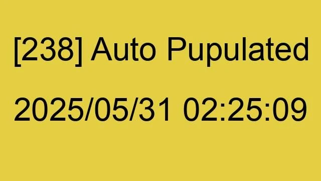 [238] Auto 2025/05/31 02:25:09