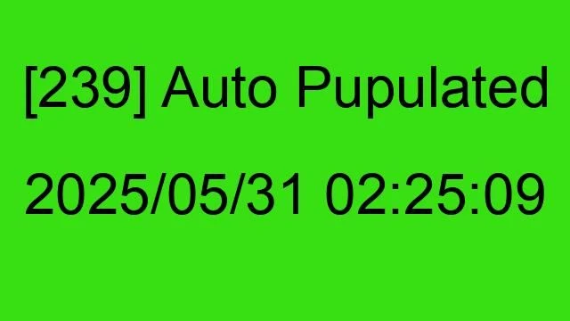 [239] Auto 2025/05/31 02:25:09