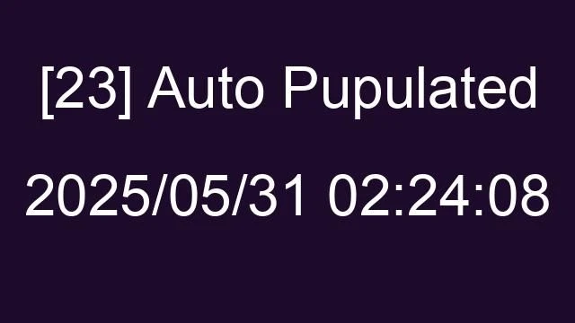 [23] Auto 2025/05/31 02:24:08