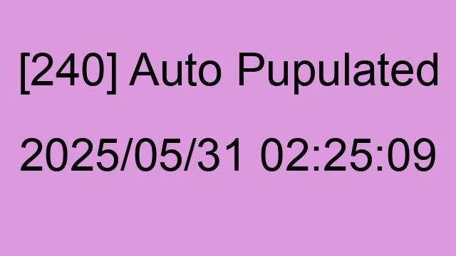 [240] Auto 2025/05/31 02:25:09