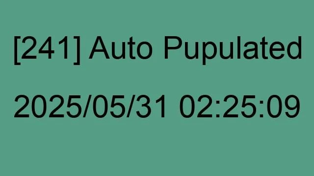 [241] Auto 2025/05/31 02:25:09