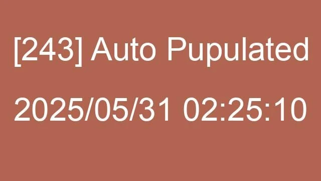 [243] Auto 2025/05/31 02:25:10