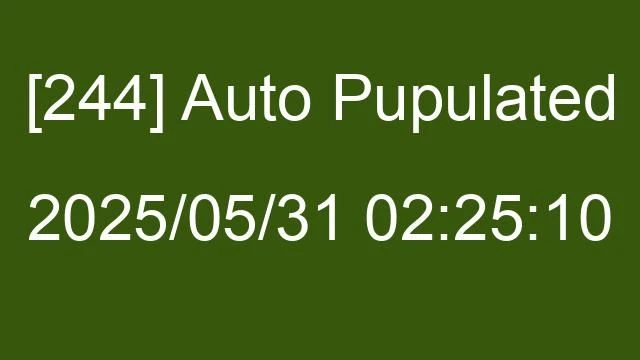 [244] Auto 2025/05/31 02:25:10