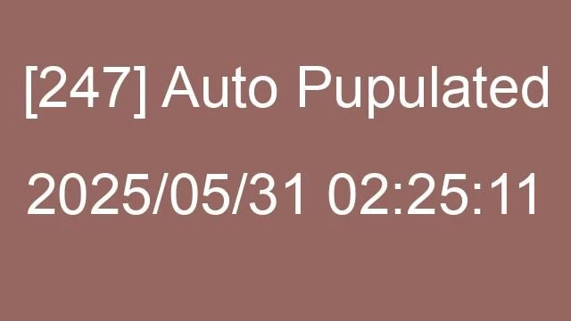 [247] Auto 2025/05/31 02:25:11