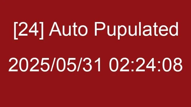 [24] Auto 2025/05/31 02:24:08