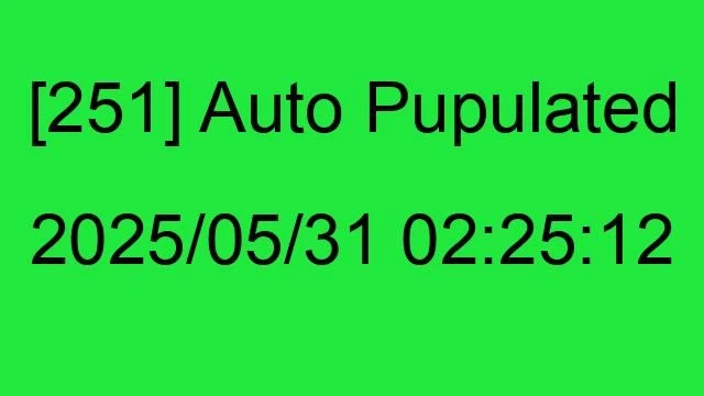 [251] Auto 2025/05/31 02:25:12
