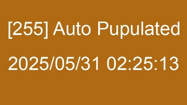 [255] Auto 2025/05/31 02:25:13