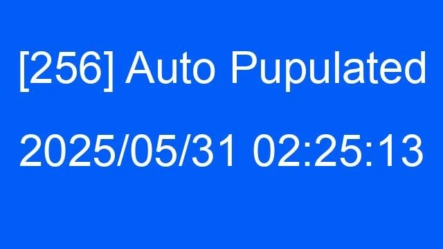 [256] Auto 2025/05/31 02:25:13