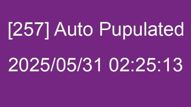 [257] Auto 2025/05/31 02:25:13