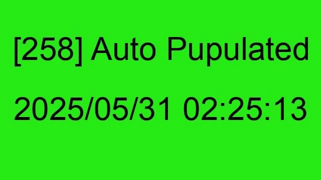 [258] Auto 2025/05/31 02:25:13