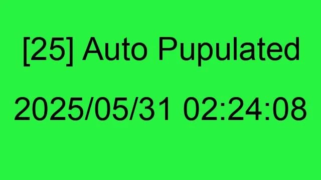 [25] Auto 2025/05/31 02:24:08
