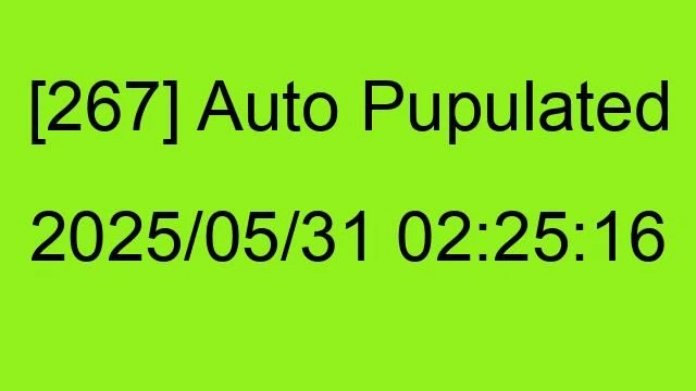 [267] Auto 2025/05/31 02:25:16