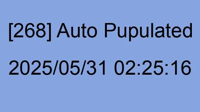 [268] Auto 2025/05/31 02:25:16